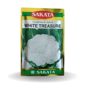White Treasure Cauliflower Seeds - Sakata | F1 Hybrid | Buy Online at Best Price