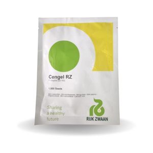 Cengel RZ (22-193) Cucumber Seeds - Rijk Zwaan | F1 Hybrid | Buy Online at Best Price