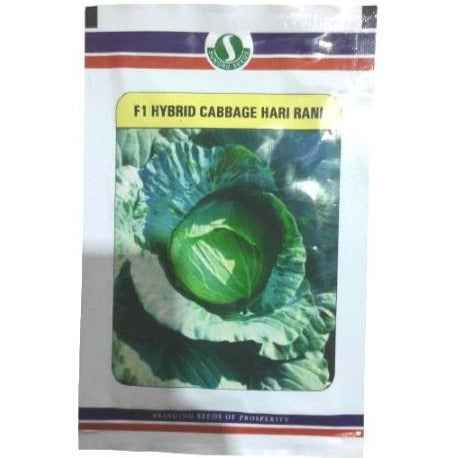 Hari Rani Cabbage Seeds - Sungro | F1 Hybrid | Buy Online at Best Price
