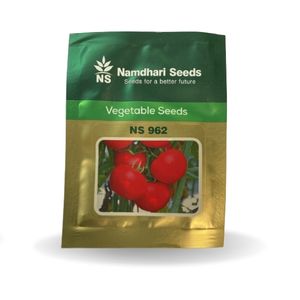 NS 962 Tomato Seeds - Namdhari | F1 Hybrid | Buy Online at Best Price