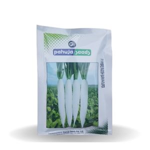 Barkha Super Radish Seeds - Pahuja | F1 Hybrid | Buy Online at Best Price