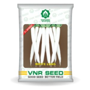 White Long Radish Seeds - VNR | F1 Hybrid | Buy Online at Best Price