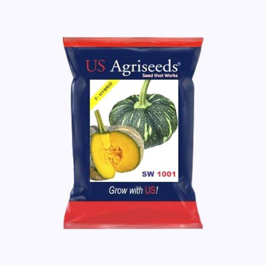 SW 1001 Pumpkin Seeds | Buy Online At Best Price