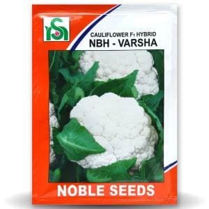 NBH - Varsha Cauliflower Seeds - Noble | F1 Hybrid | Buy Online at Best Price