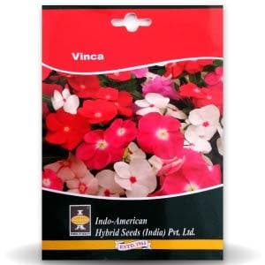 Vinca Seeds - Indo American | F1 Hybrid | Buy Online at Best Price