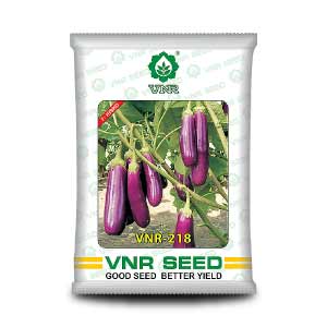 VNR 218 Brinjal Seeds | F1 Hybrid | Buy Online at Best Price