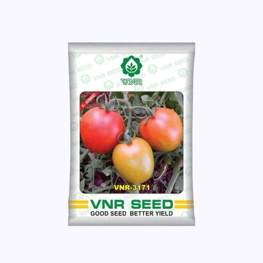 VNR 3171 Tomato Seeds | F1 Hybrid | Buy Online at Best Price