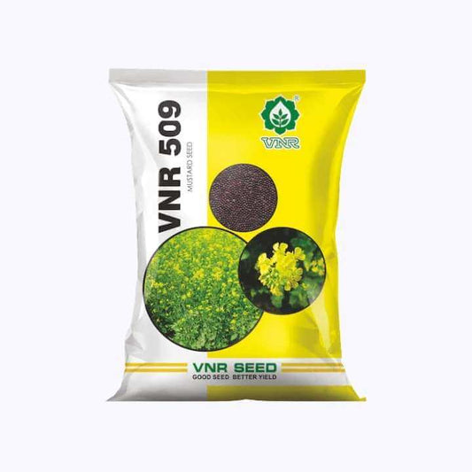 VNR 509 Mustard Seeds | F1 Hybrid | Buy Online at Best Price