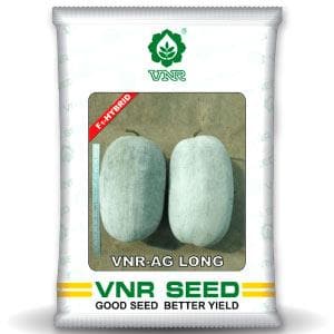 VNR AG Long Ash Guard Seeds | F1 Hybrid | Buy Online at Best Price