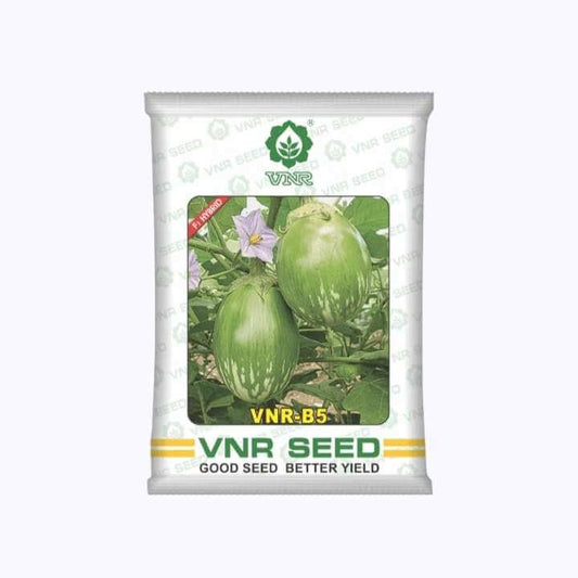 VNR B-5 Brinjal Seeds | F1 Hybrid | Buy Online at Best Price