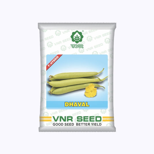 VNR Dhaval Sponge Gourd Seeds | F1 Hybrid | Buy Online at Best Price