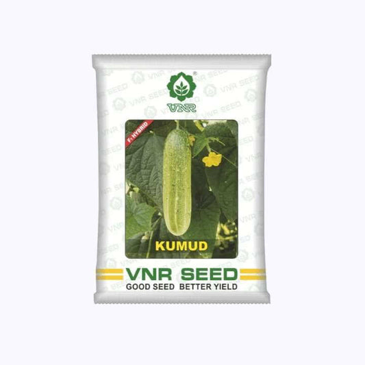 Kumud Cucumber Seeds - VNR | F1 Hybrid | Buy Online at Best Price