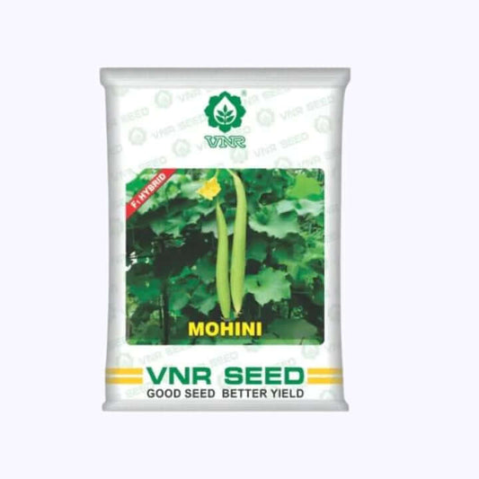 Mohini Sponge Gourd Seeds - VNR | F1 Hybrid | Buy Online at Best Price