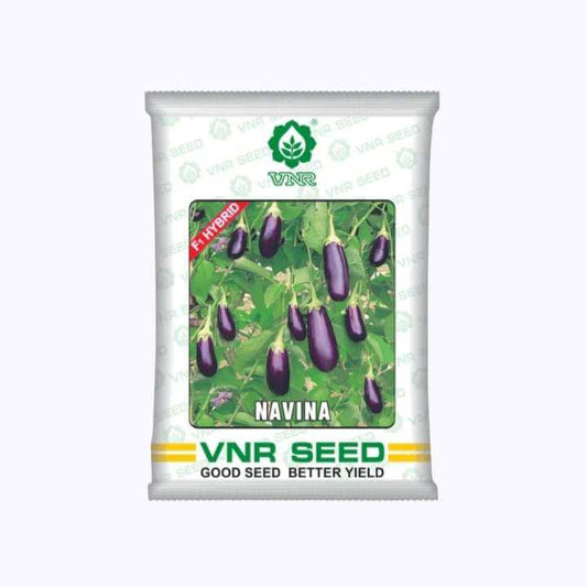 Navina Brinjal Seeds - VNR | F1 Hybrid | Buy Online at Best Price