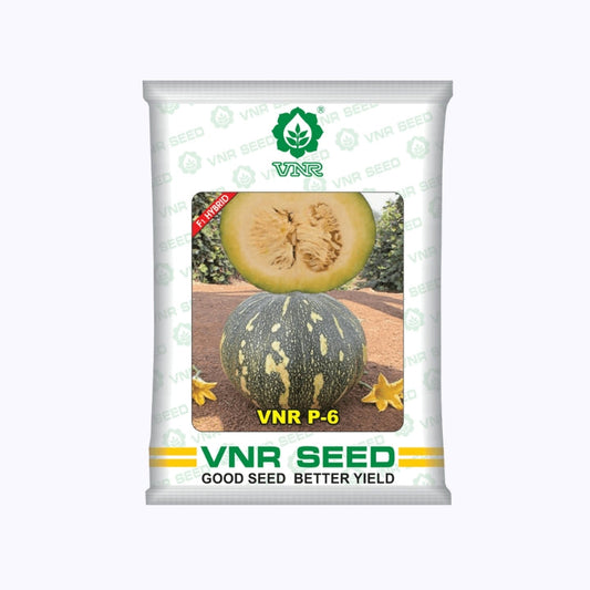 VNR P-6 Gold Pumpkin Seeds | F1 Hybrid | Buy Online at Best Price