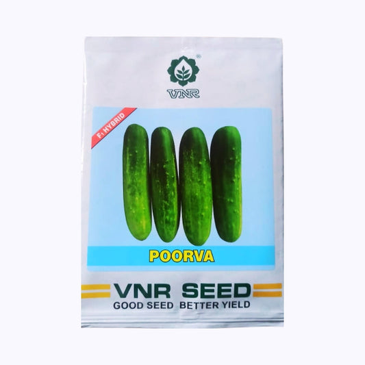 Poorva Cucumber Seeds - VNR | F1 Hybrid | Buy Online at Best Price