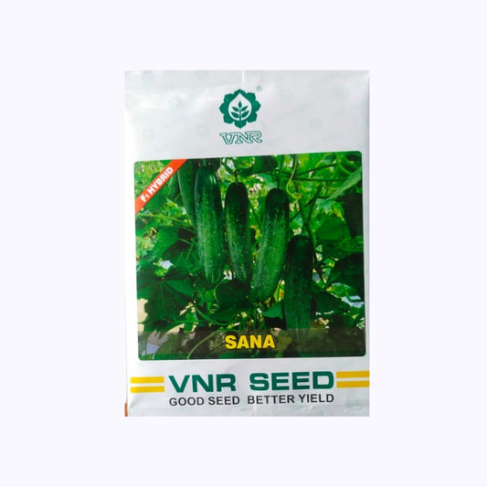 Sana Cucumber Seeds - VNR | F1 Hybrid | Buy Online at Best Price