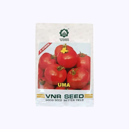 UMA Tomato Seeds - VNR | F1 Hybrid | Buy Online at Best Price