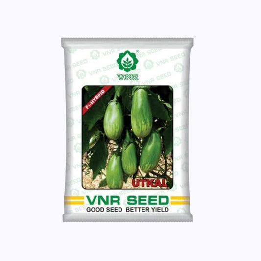 Utkal Brinjal Seeds - VNR | F1 Hybrid | Buy Online at Best Price