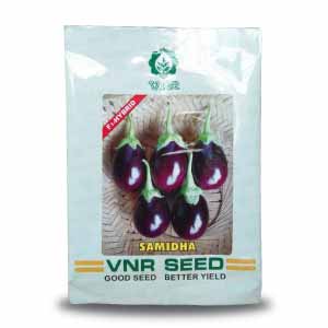 Samidha Brinjal Seeds - VNR | F1 Hybrid | Buy Online at Best Price