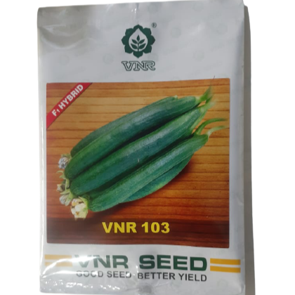 VNR-103 Sponge gourd Seeds | F1 Hybrid | Buy Online at Best Price