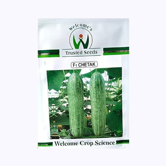 Chetak Cucumber Seeds | Buy Online At Best Price