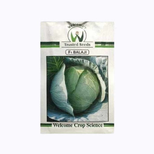 Balaji Cabbage Seeds | Buy Online At Best Price