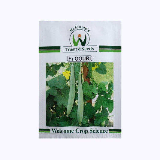 Gouri Sponge Gourd Seeds - Welcome | F1 Hybrid | Buy Online Now