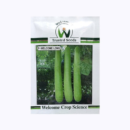 Welcome Long Ridge Gourd Seeds | Buy Online At Best Price