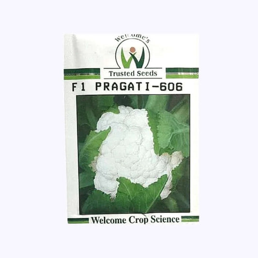 Pragati - 606 Cauliflower Seeds | Buy Online At Best Price