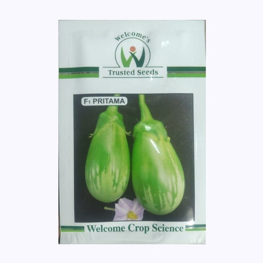 Pratima Brinjal Seeds | Buy Online At Best Price
