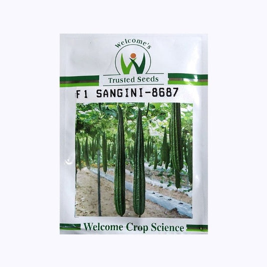 Sangini-8667 Ridge Gourd Seeds | Buy Online At Best Price