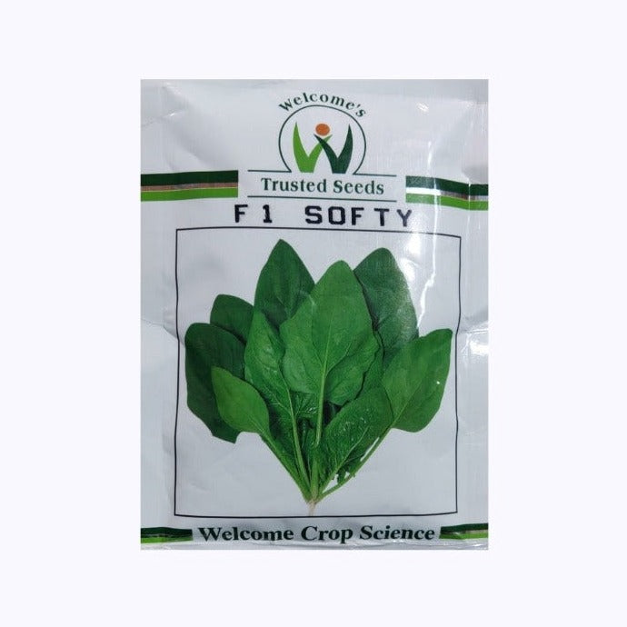 Softy Palak Seeds | Buy Online At Best Price