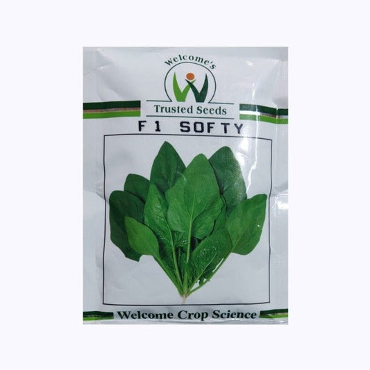 Softy Palak Seeds | Buy Online At Best Price