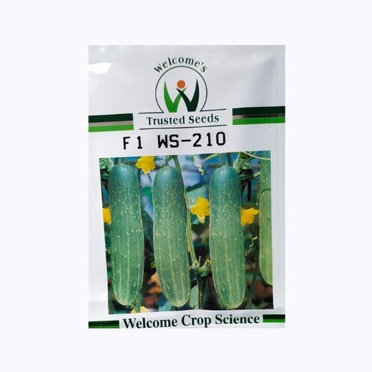 WS-210 Cucumber Seeds | Buy Online At Best Price