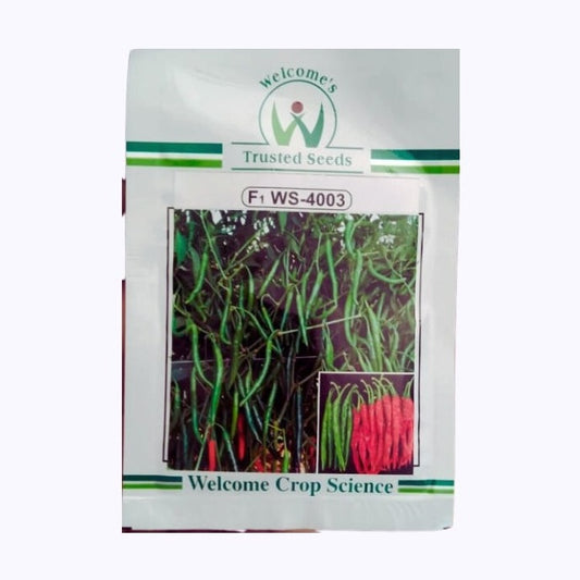 WS - 4003 Chilli Seeds | Buy Online At Best Price