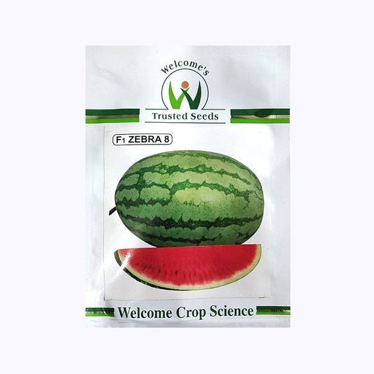 Zebra 8 Watermelon Seeds | Buy Online At Best Price