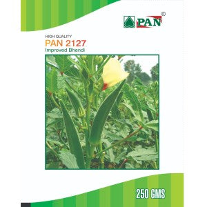 Pan 2127 Bhendi Seeds | F1 Hybrid | Buy Online at Best Price
