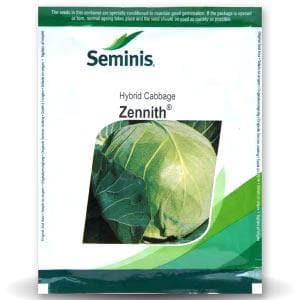 Zennith Cabbage Seeds | Buy Online At Best Price