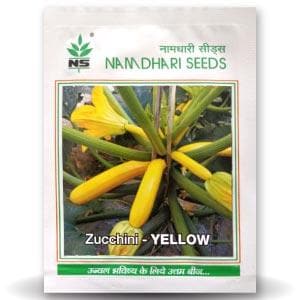 NS 9823 Zucchini - Long Yellow - Namdhari | F1 Hybrid | Buy Online at Best Price