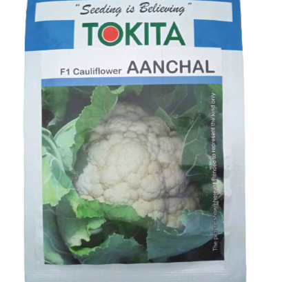 Aanchal Cauliflower Seeds - Tokita | F1 Hybrid | Buy Online at Best Price