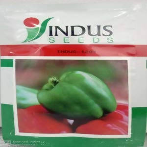 Indus 1201 Capsicum Seeds | F1 Hybrid | Buy Online at Best Price
