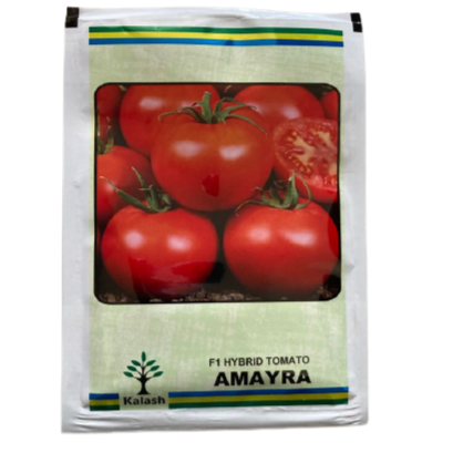 Amayra Tomato Seeds - Kalash | F1 Hybrid | Buy Online at Best Price