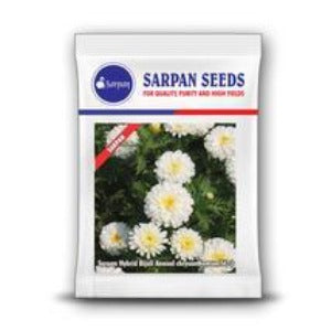 Sarpan Chrysanthemum  Seeds | F1 Hybrid | Buy Online at Best Price
