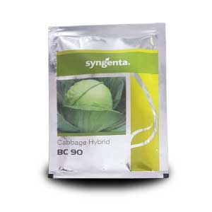 BC 90 Cabbage Seeds - Syngenta | F1 Hybrid | Buy Online at Best Price