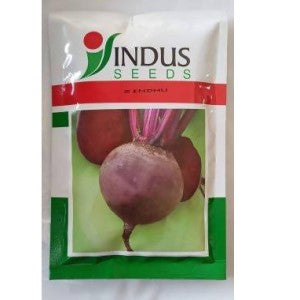 Sindhu Beet Root Seeds - Indus | F1 Hybrid | Buy Online at Best Price