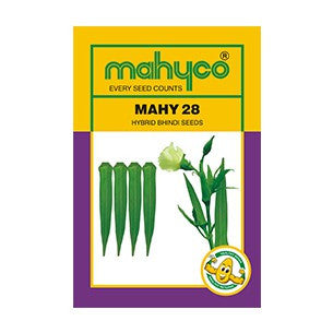 MAHY 28 Bhindi Seeds - Mahyco | F1 Hybrid | Buy Online at Best Price