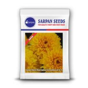 Sarpan Chrysanthemum Seeds | F1 Hybrid | Buy Online at Best Price