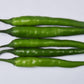 Shilpa (435/7) Chilli seeds - VNR | F1 Hybrid | Buy Online at Best Price