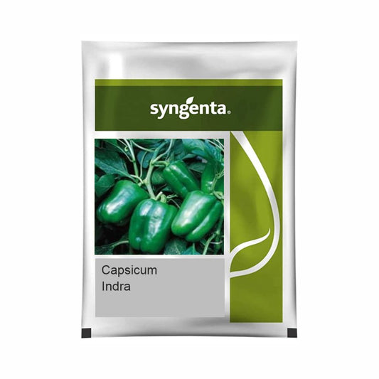 Indra Capsicum Seeds - Syngenta | F1 Hybrid | Buy Online at Best Price